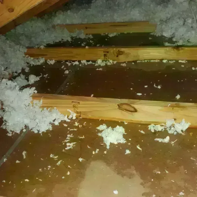 Attic Water Damage in Granger, TX