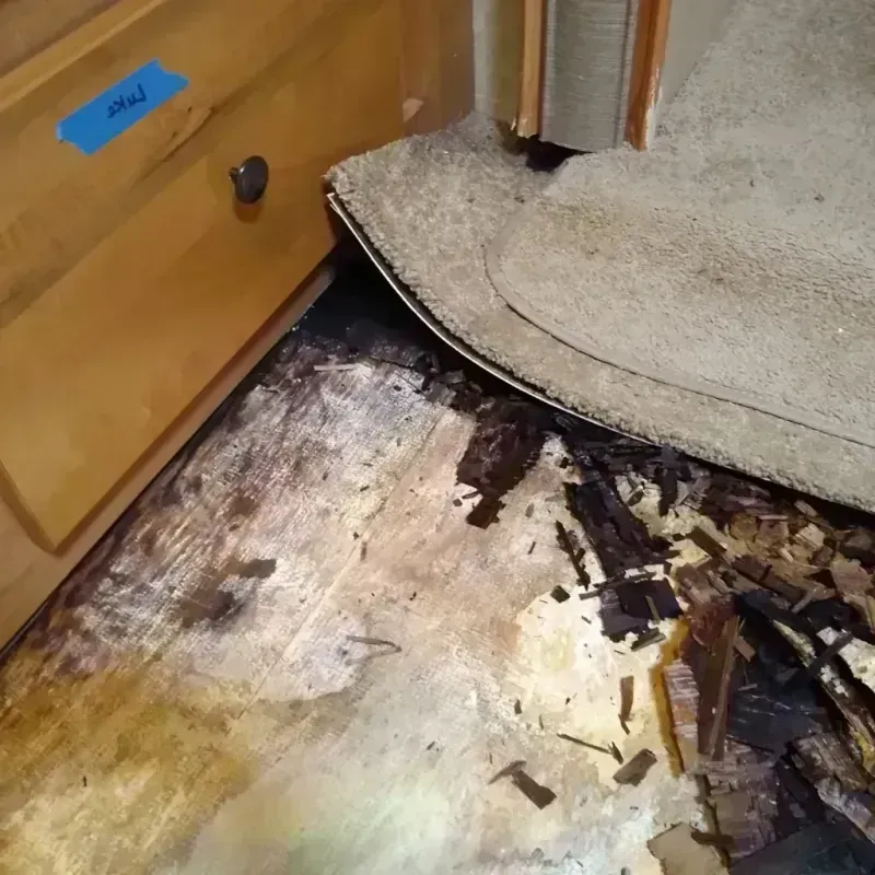 Wood Floor Water Damage in Granger, TX